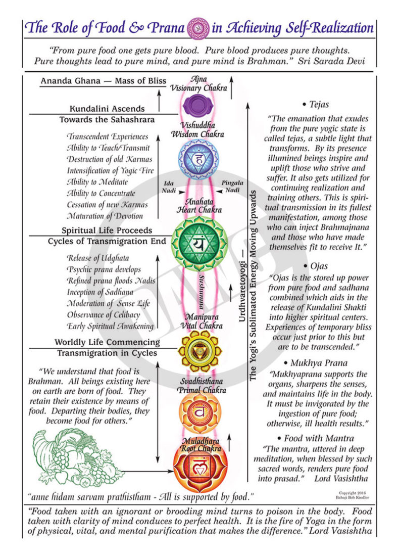 The Role of Food and Prana in Spiritual Life #3 – Dharma Art Wisdom Charts