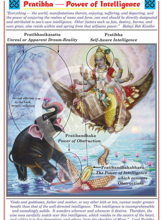 Chart Categories – Dharma Art Wisdom Charts