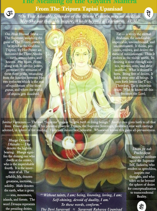 Chart Categories – Dharma Art Wisdom Charts