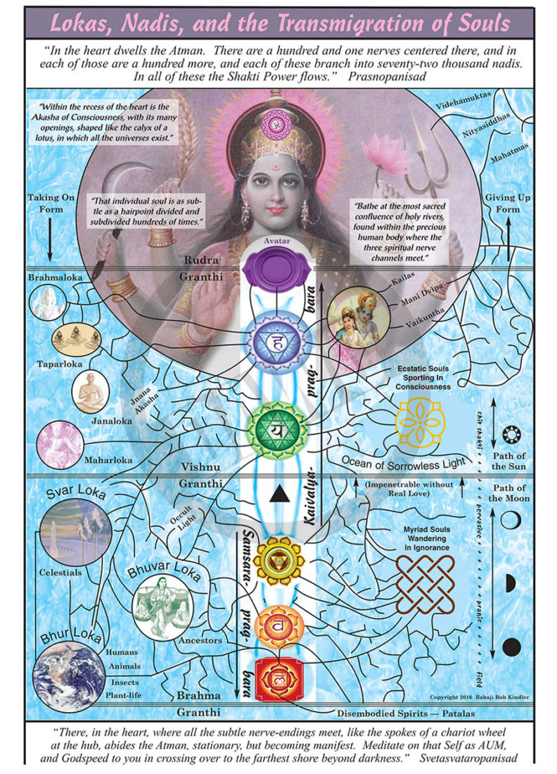 Lokas, Nadis, and Transmigration of Souls #20 – Dharma Art Wisdom Charts