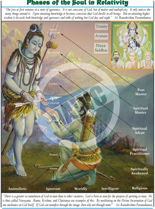 Chart Categories – Dharma Art Wisdom Charts