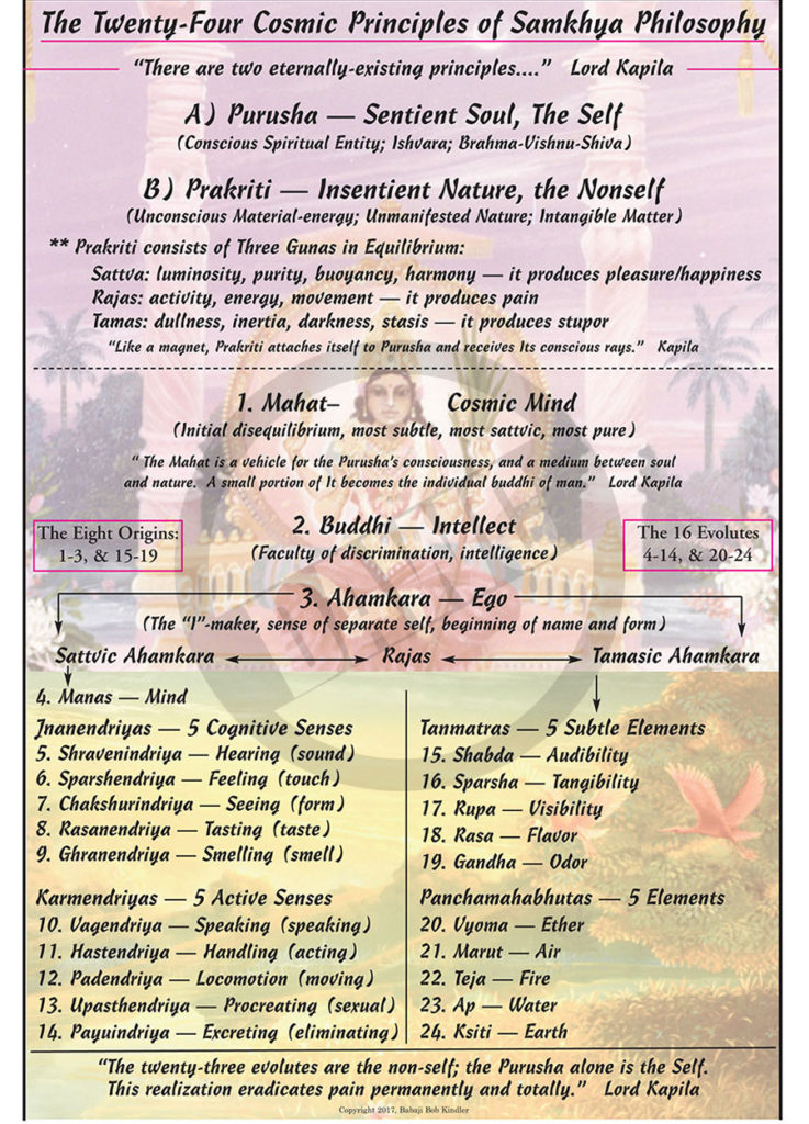 The Twenty-Four Cosmic Principles #60 – Dharma Art Wisdom Charts