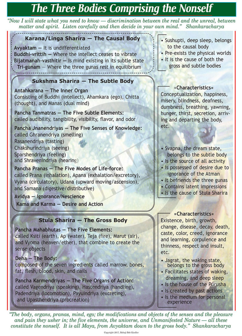 The Three Bodies Comprising the Nonself #63 – Dharma Art Wisdom Charts