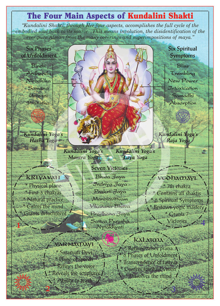 Four Main Aspects of Kundalini Shakti 216 Dharma Art Wisdom Charts