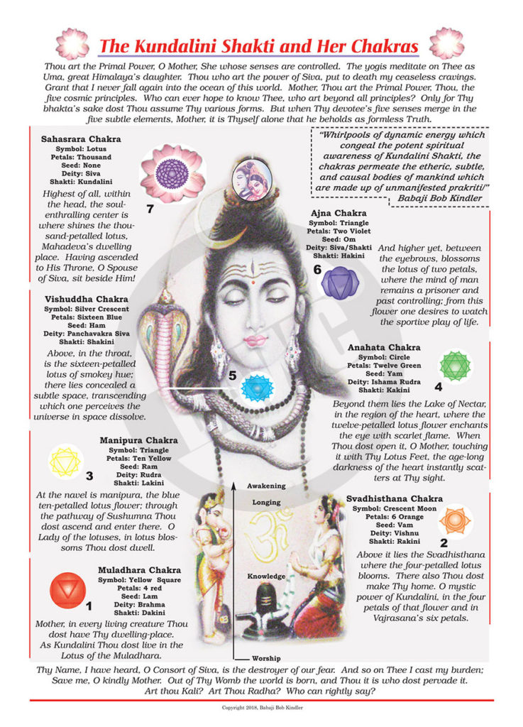 The Kundalini Shakti & Her Chakras #306 – Dharma Art Wisdom Charts