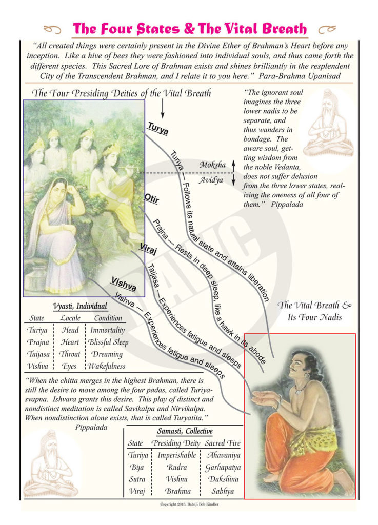 The Four States & the Vital Breath #308 – Dharma Art Wisdom Charts