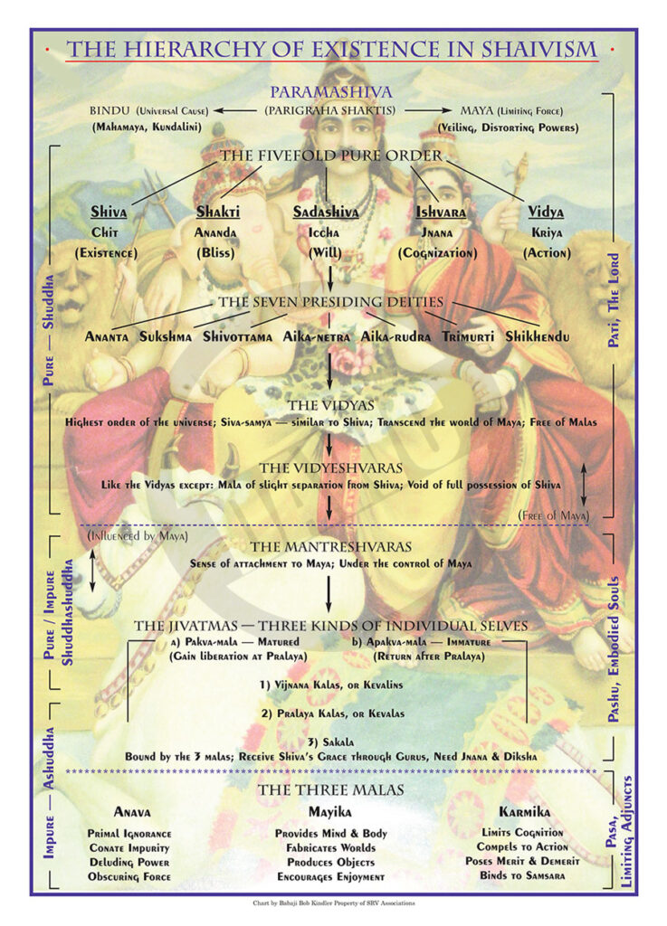 The Hierarchy of Existence #225 – Dharma Art Wisdom Charts